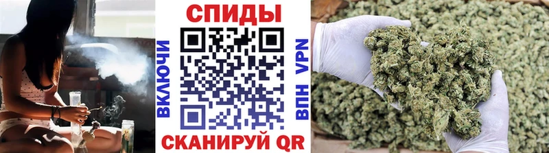 omg зеркало  Альметьевск  Бутират буратино 