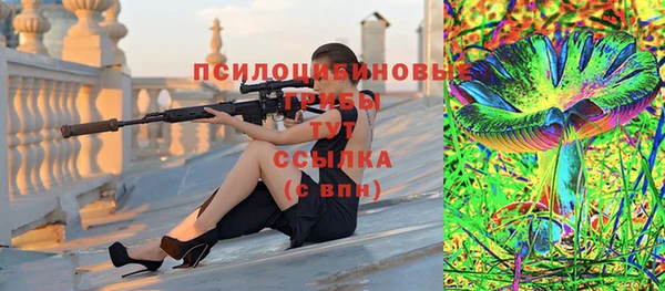 соль курить ск Богданович