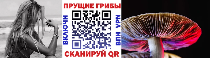 Псилоцибиновые грибы Psilocybine cubensis  что такое   Альметьевск 